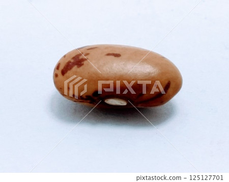 A picture of red kidney bean on white background 125127701