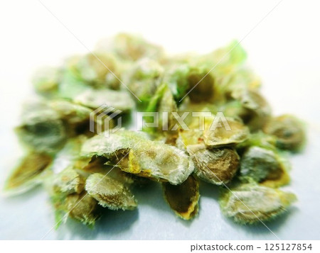 A picture of tomato seed's on a white background 125127854