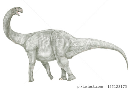 Brontomerus: A new species of herbivorous dinosaur with powerful legs that shows the diversity of sauropods 125128173