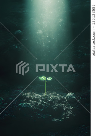 Mysterious image of young sprouts growing, with young leaves illuminated by light in the dark 125128683