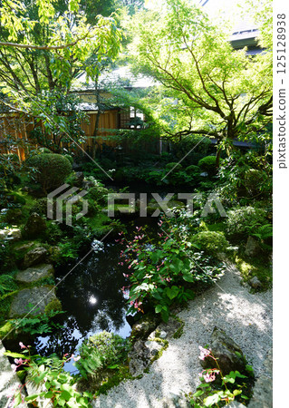 京都大原寺院的庭園風景 125128938