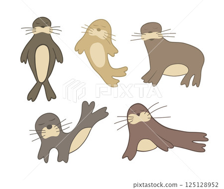 Vector isolated illustration of a set of fur seals on a white background. 125128952
