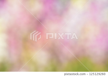 Pink background material Pink background material 125129260