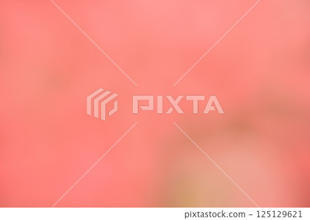 粉紅色背景素材 粉紅色背景素材 125129621