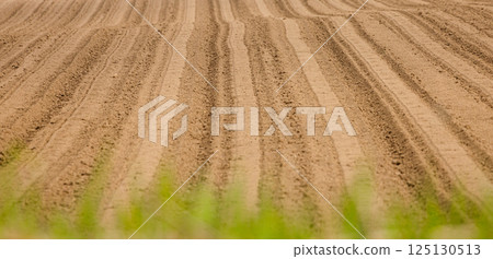 A landscape of fields plowed by a tractor in spring in Hokkaido A landscape of fields plowed by a tractor in spring in Hokkaido 125130513