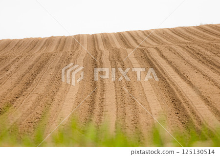 A landscape of fields plowed by a tractor in spring in Hokkaido 125130514