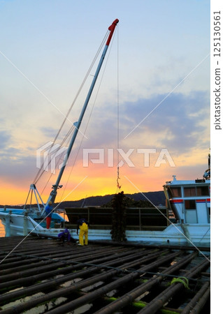 宮島牡蠣登陸 125130561