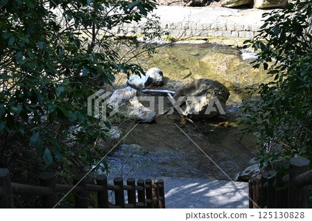 Yoro Valley Shibamata瀑布 Yoro Valley Shibamata瀑布 125130828