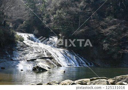 Yoro Valley Shibamata瀑布 125131016