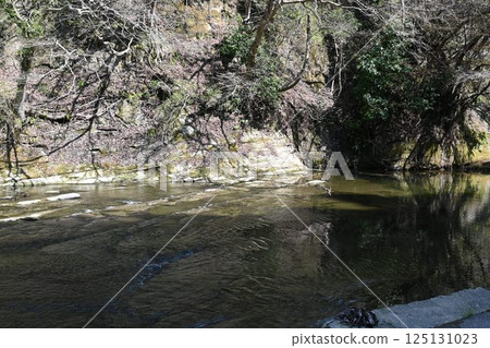 Yoro Valley Shibamata Waterfall 125131023