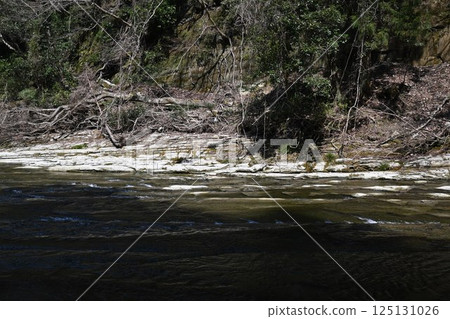 Yoro Valley Shibamata瀑布 Yoro Valley Shibamata瀑布 125131026