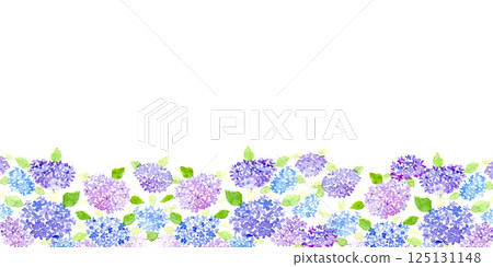 Hydrangea frame painted by watercolor 125131148