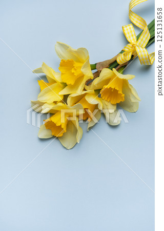 Bouquet of yellow daffodils with ribbon lying on pastel blue background 125131658