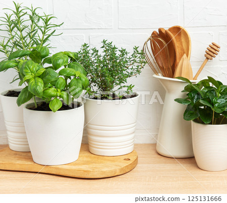 Fresh herbs growing in pots on kitchen countertop 125131666