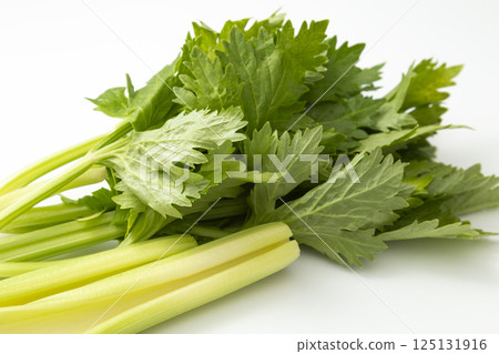 白色背景中的芹菜葉和莖 白色背景中的芹菜葉和莖 125131916
