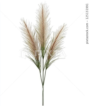 Elegant Artificial Pampas Grass Bush for Home Decor, Beige and Green Elegant Artificial Pampas Grass Bush for Home Decor, Beige and Green 125131991