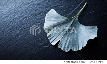Serene Ginkgo Biloba Leaf on Dark Slate Background: A Study in Nature's Elegance 125131996