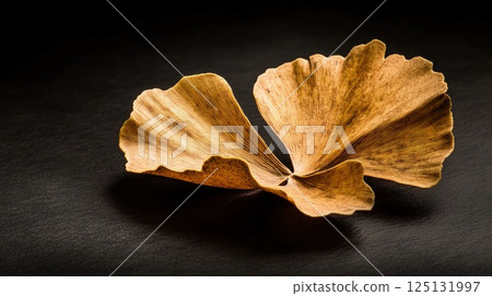 A Close-Up Still Life Photography of Two Dried Ginkgo Biloba Leaves on a Dark Surface 125131997