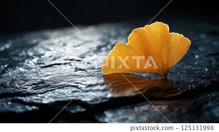 Golden Ginkgo Leaf on Dark Stone: A Study in Autumnal Serenity 125131998