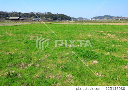 The view from the Asuka Palace ruins 125132088