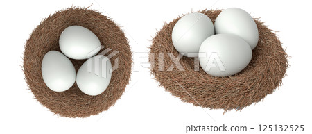 White eggs in bird nests isolated on white transparent background. White eggs in bird nests isolated on white transparent background. 125132525