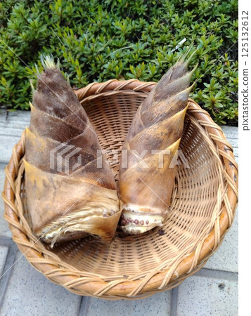 Fresh bamboo shoots - a taste of spring 125132612