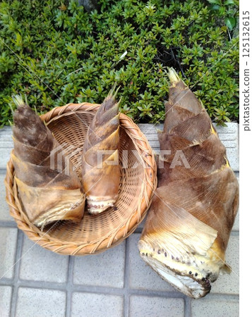 Fresh bamboo shoots - a taste of spring 125132615