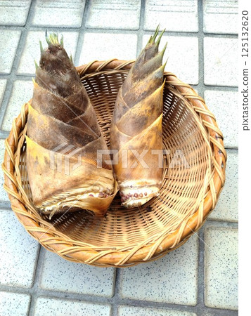 Fresh bamboo shoots - a taste of spring 125132620