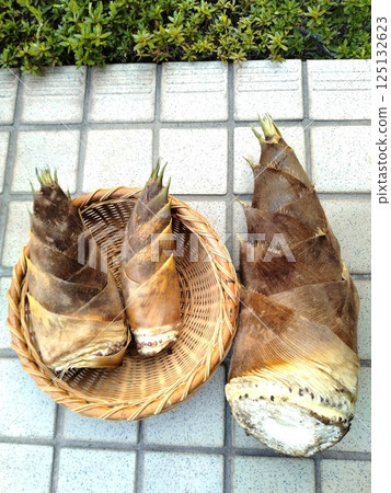 Fresh bamboo shoots - a taste of spring 125132623