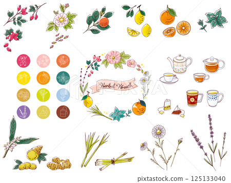 手繪草藥和茶具插圖 125133040
