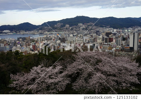 從風頭公園看到的長崎市和櫻花 4月29日，長崎市和櫻花，風頭公園 125133102