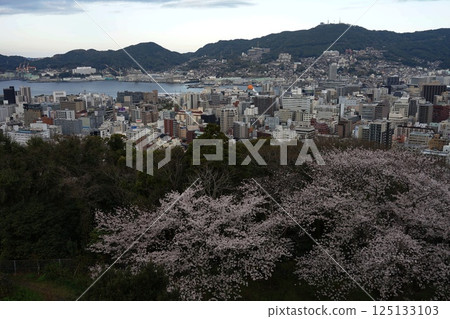4月30日從風頭公園欣賞長崎城市景觀與櫻花 長崎城市景觀與櫻花,風頭公園 4月30日從風頭公園欣賞長崎城市景觀與櫻花 長崎城市景觀與櫻花,風頭公園 125133103
