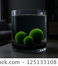 Three green balls of Marimo moss (Cladophora globularis) on black ground in a clear water aquarium with interior background . 125133108