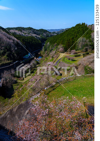 櫻花季的佈目水壩：水壩址東北側的廣場與布目川② 125133439