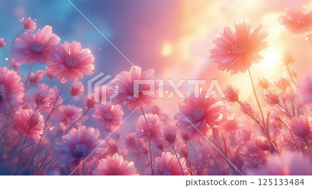Colorful cosmos field 125133484