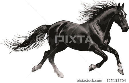 New Year 2026 New Year's card 2026 Horse Horse Zodiac Sumi-e Ink painting Japanese style Silhouette Design Illustration material 125133704