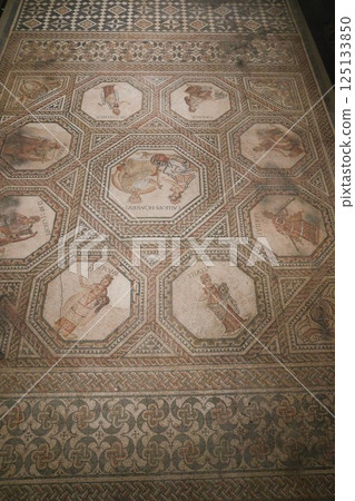 Roman mosaics, Luxembourg National Museum of History and Art Roman mosaics, Luxembourg National Museum of History and Art 125133850