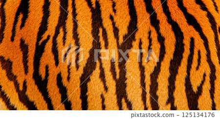 Tiger fur close up with orange background and black stripes, natural animal texture, detailed wild pattern, exotic surface for wildlife design and print 125134176