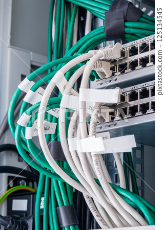 ethernet cables connected to server switch ethernet cables connected to server switch 125134545