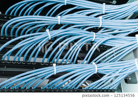 large group of UTP cables, Ethernet cables in rack cabinet, lead 125134556