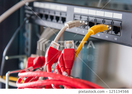 red ethernet cables connected to switch 125134566