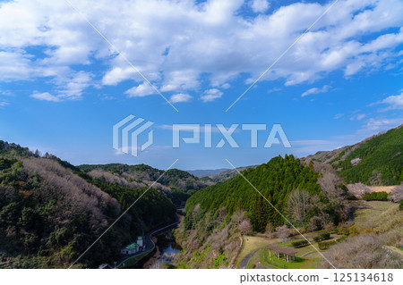 Nunome Dam in cherry blossom season. Nunome River flowing down the valley 8 Nunome Dam in cherry blossom season. Nunome River flowing down the valley 8 125134618