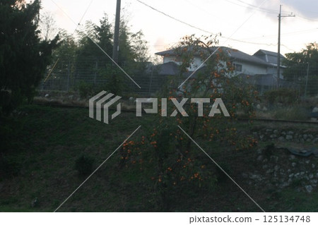 日落照亮的宇宙 日落照亮的宇宙 125134748