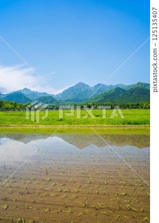 禦在所山山麓鄉村的插秧工作完成(三重縣菰野町) 禦在所山山麓鄉村的插秧工作完成(三重縣菰野町) 125135407