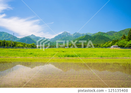 Rice planting completed in the countryside at the foot of Mt. Gozaisho (Komono Town, Mie Prefecture) 125135408