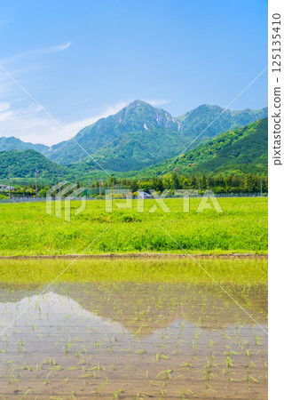 禦在所山山麓鄉村的插秧工作完成（三重縣菰野町） 125135410