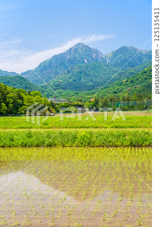 禦在所山山麓鄉村的插秧工作完成（三重縣菰野町） 125135411