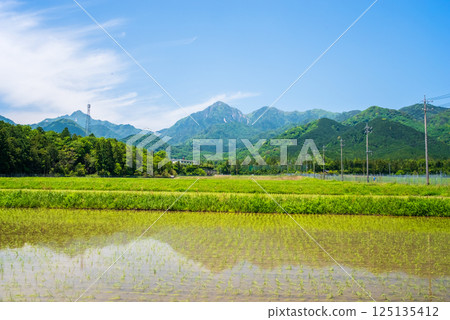 禦在所山山麓鄉村的插秧工作完成(三重縣菰野町) 禦在所山山麓鄉村的插秧工作完成(三重縣菰野町) 125135412