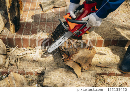 Cutting timber with a chainsaw Cutting timber with a chainsaw 125135450