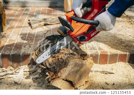 Cutting timber with a chainsaw 125135453